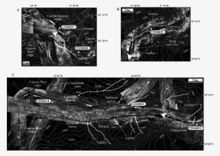 Tobi Side-scan Sonar Images And Superimposed Bathymetry #7397589