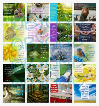 20 Ready-made January Social Media Quotes #7397781