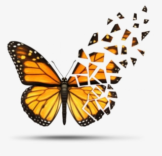 Multiple Sclerosis Png #7399371