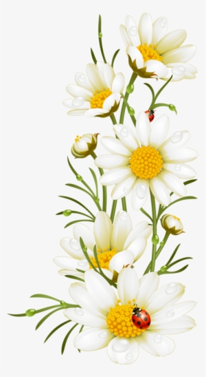 Kw - Illustyration Poppy #740925