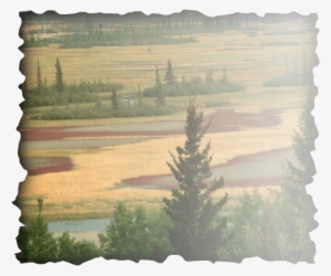 Plains You Would Find These Kind Of Landforms Are Flat - Saif Ali Khan Production House #741070