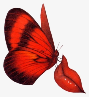 Clipart Butterflies - Red Butterfly Animation #741552