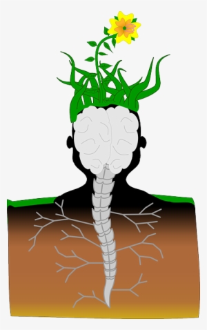 Plant, Brain, Spine, Human, Mutant, Flower, Soil - Best Name Shirt For A1554 Viney Special Top/sweater/mug #742074
