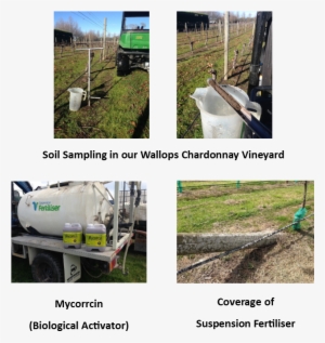 Soil Sampling - Field #742487