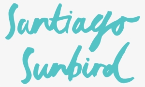 Santiago Sunbird - Watercolor Painting #744054