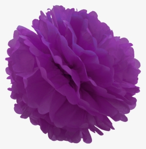 Violet Tissue Pom Pom #745034