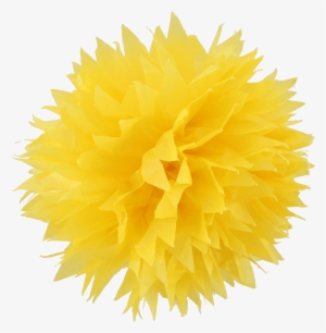 Yellow Pom Poms #745065