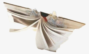 Book Png - Ring #745606