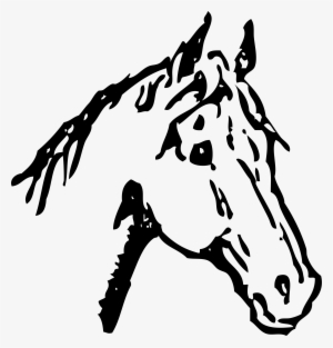 This Free Icons Png Design Of Horse Head - Horses Head Black And White #745674