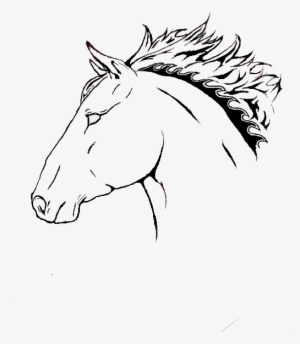 Horse Head Drawing Pictures At Getdrawings - Drawing #745700
