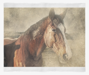Wild Horse Notebook / Journal #745821