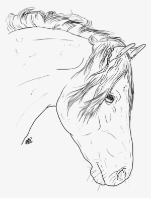 Horse Head Line At Getdrawings Com Free - Horse #746029