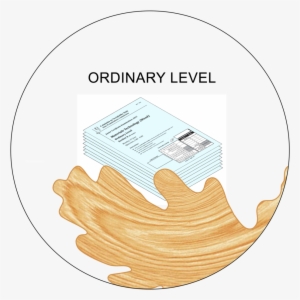 Ordinary Level Exam Thumb - Portable Network Graphics #746075