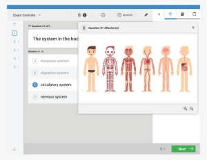 Examplify In 3 Easy Steps - Cartoon Body Anatomy #746162
