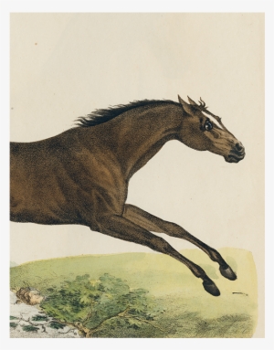 025 04f4779f Adc6 4b15 8a39 F5f2ecd4edf9 V=1527799940 - John Derian #746384