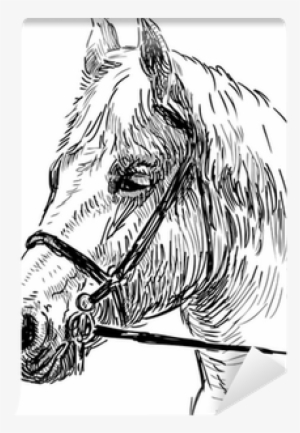 Horse #746544