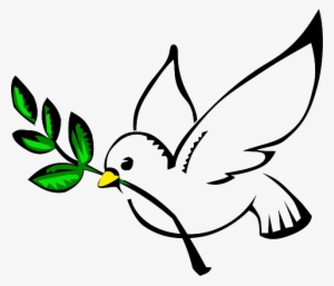 White Dove, Olive Branch, Pigeon, Freedom, Flying - Peace Dove #747044 White Dove, Olive Branch, Pigeon, Freedom, Flying - Peace Dove #747044