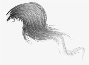 Horse Hair Png - Sketch Of Horse Hair #747744