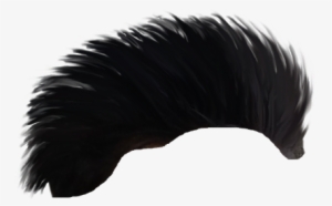Cb Hair Png - Golden Eagle #748085