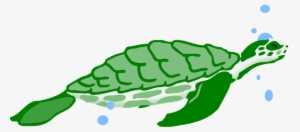 Turtles Clip Art - Turtle Water Clipart #748205