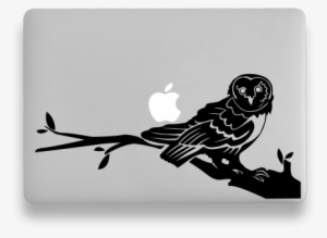 The Perfect Choice For - Cute Barn Owl Sticker #748447