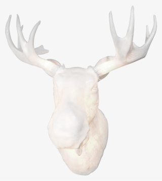 Hi-res - Png #7406259