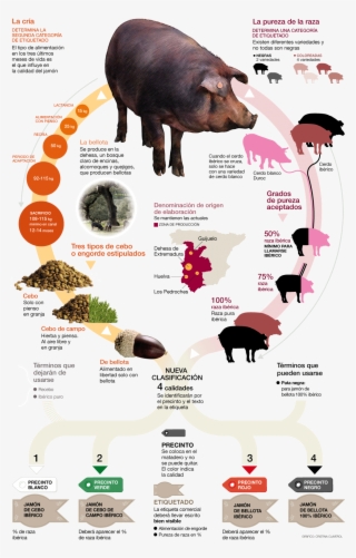 Juangabriel Garcia Gomez Ha Recomendado Esto #7406724