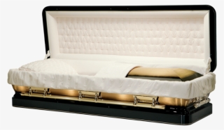 2896 Eldorado Fc #7407390