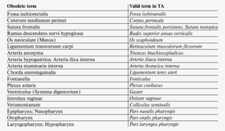 The Comparison Of The Obsolete Terms From Previous #7407728