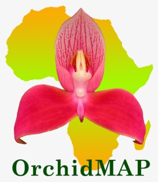 [inmage Size Reduced] #7410314