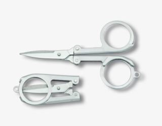 Scissors #7410975