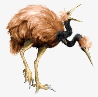 Doduo Skulker #7410978