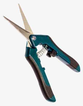 Con Las Tijeras Easy Bud, Conseguirás Un Acabado Perfecto #7411080 Con Las Tijeras Easy Bud, Conseguirás Un Acabado Perfecto #7411080