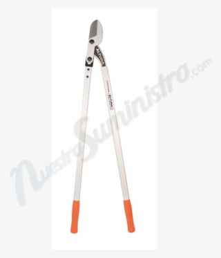 Altuna #7411131