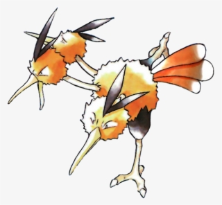 Dodrio Oa Rb #7411178