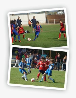 Peta Zetas Colabora En El Ix Torneo Benjamí Memorial #7412031