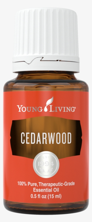 How To Use Cedarwood Essential Oil #7417267