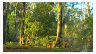 Panasonic Color Out Of It, But If You Can Tailor The #7417437