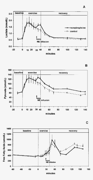 Blood Lactate , Pyruvate (b), And Ffa (c) During Baseline, #7418107