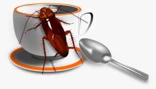 Cucaracha Png #7419444 Cucaracha Png #7419444