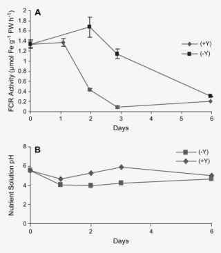 Effect Of Addition Of 10 Mm Ycl 3 To The Growth Medium #7421228