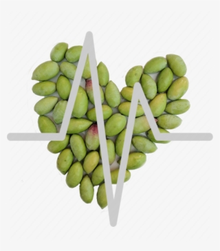 Cardiovascular Diseases Are The Most Common Causes #7421264