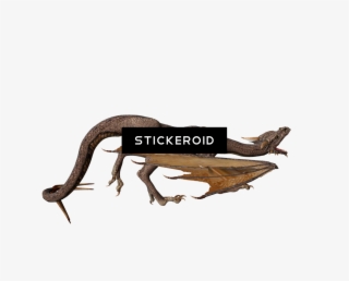 Dragons Drago Dragon Fantasy Religion #7422185