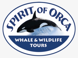 Spirit Of Orca #7423280