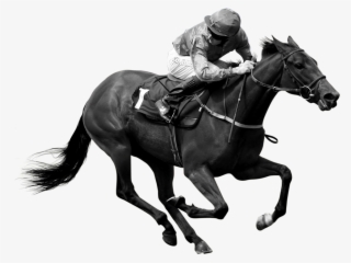 Horses In Training #7423576