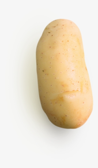 The Best Products Make A Dish Great #7424275