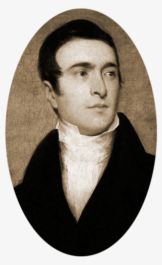 Neville T-l #7424524