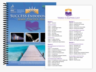 Success In Endodontics #7424837