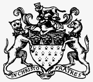 Logo Lady Neville #7425178