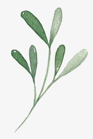 Ok, You've Convinced Me, But What If I Don't Have The #7425443